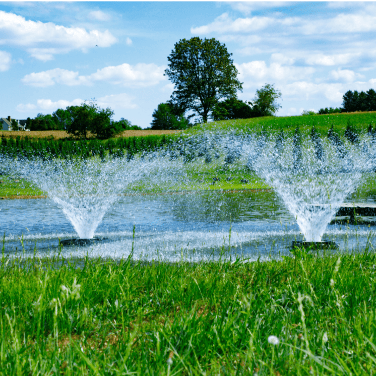 Hydrasearch | Power House Aerating Fountain 1/2 HP