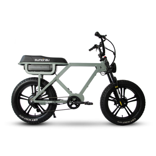 Eunorau | Flash | FLSHLT2019GB2US - Lunar Dust Mid-drive - image 21