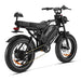 HappyRun G70 2000W Dual Battery Fast Electric Cargo Bike for Sale