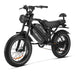 HappyRun G70 2000W Dual Battery Fast Electric Cargo Bike for Sale