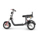4000w-40Ah Swinging Trike Dual Drive All Terrain T7.4