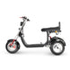 4000w-40Ah Swinging Trike Dual Drive All Terrain T7.4