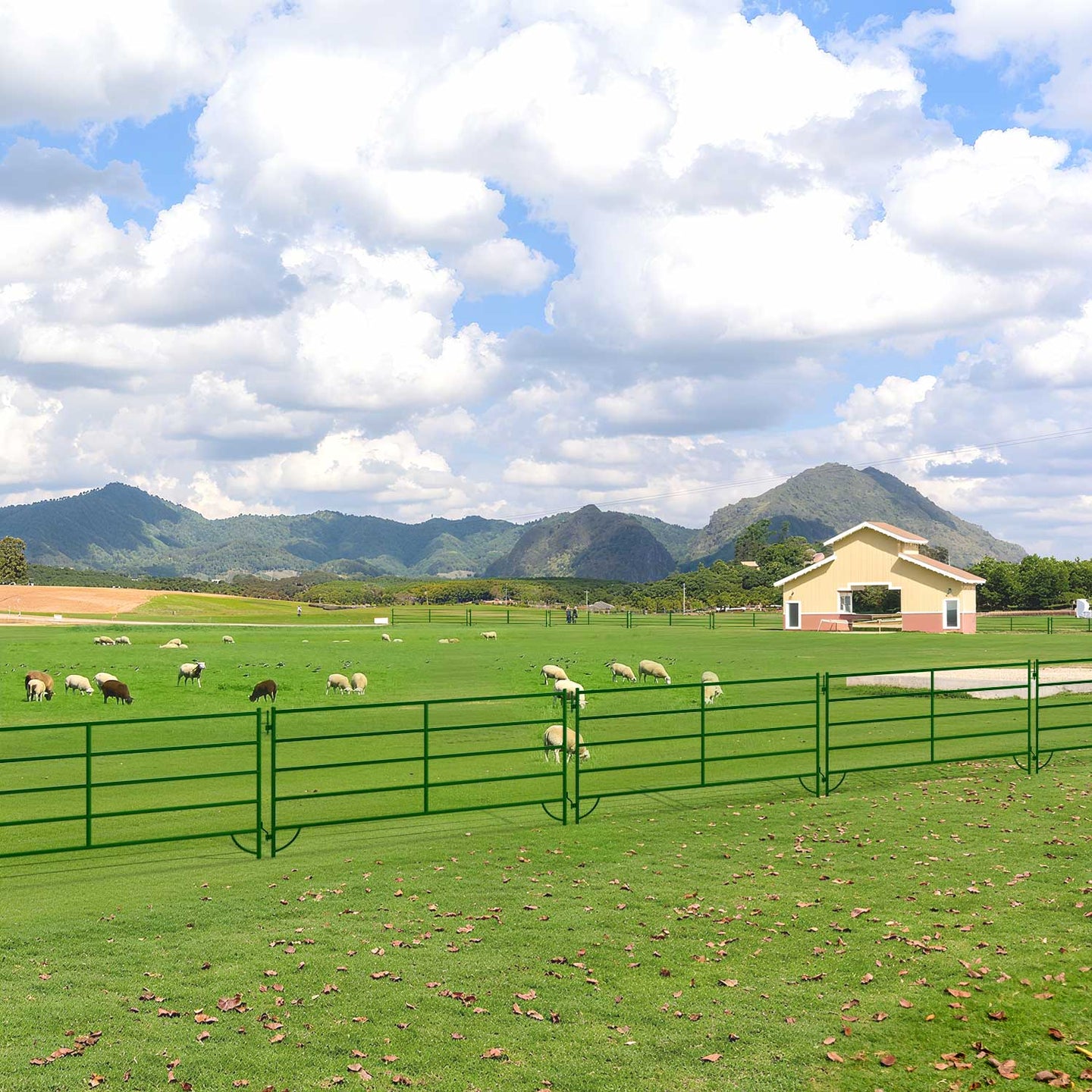 Chery Industrial 10x5 ft Cattle Panels Livestock Fence Panels, 28pcs