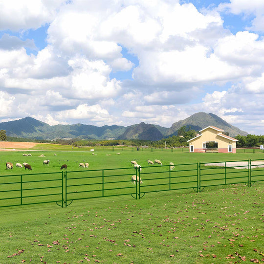 Chery Industrial 10x5 ft Cattle Panels Livestock Fence Panels, 28pcs