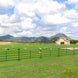 Chery Industrial 10x5 ft Cattle Panels Livestock Fence Panels, 28pcs