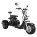 SoverSky Electric Mobility Adult Trike 2000w T7.1/T7.2