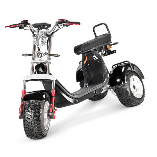 4000w-40Ah Swinging Trike Dual Drive All Terrain T7.4