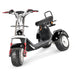 4000w-40Ah Swinging Trike Dual Drive All Terrain T7.4