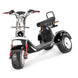 4000w-40Ah Swinging Trike Dual Drive All Terrain T7.4