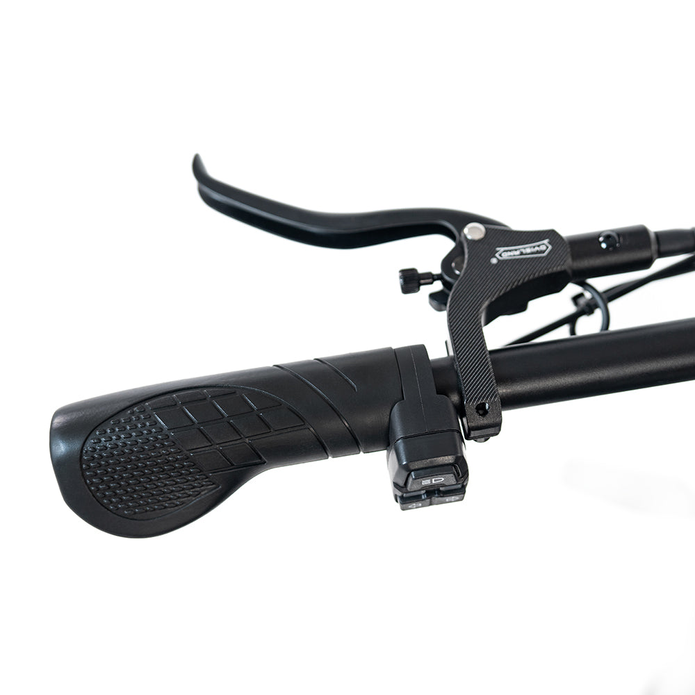HappyRun G70 2000W Dual Battery Fast Electric Cargo Bike for Sale