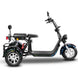 SoverSky Electric Mobility Adult Trike 2000w T7.1/T7.2