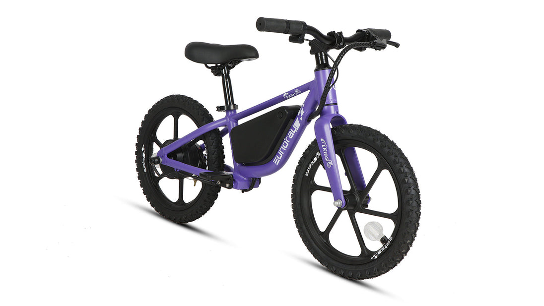 Eunorau | EKIDS-16 | EKIDS-16-BK / EKDS1609BK1CN - Violet - image 11
