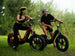 Velowave Pony - Image 6