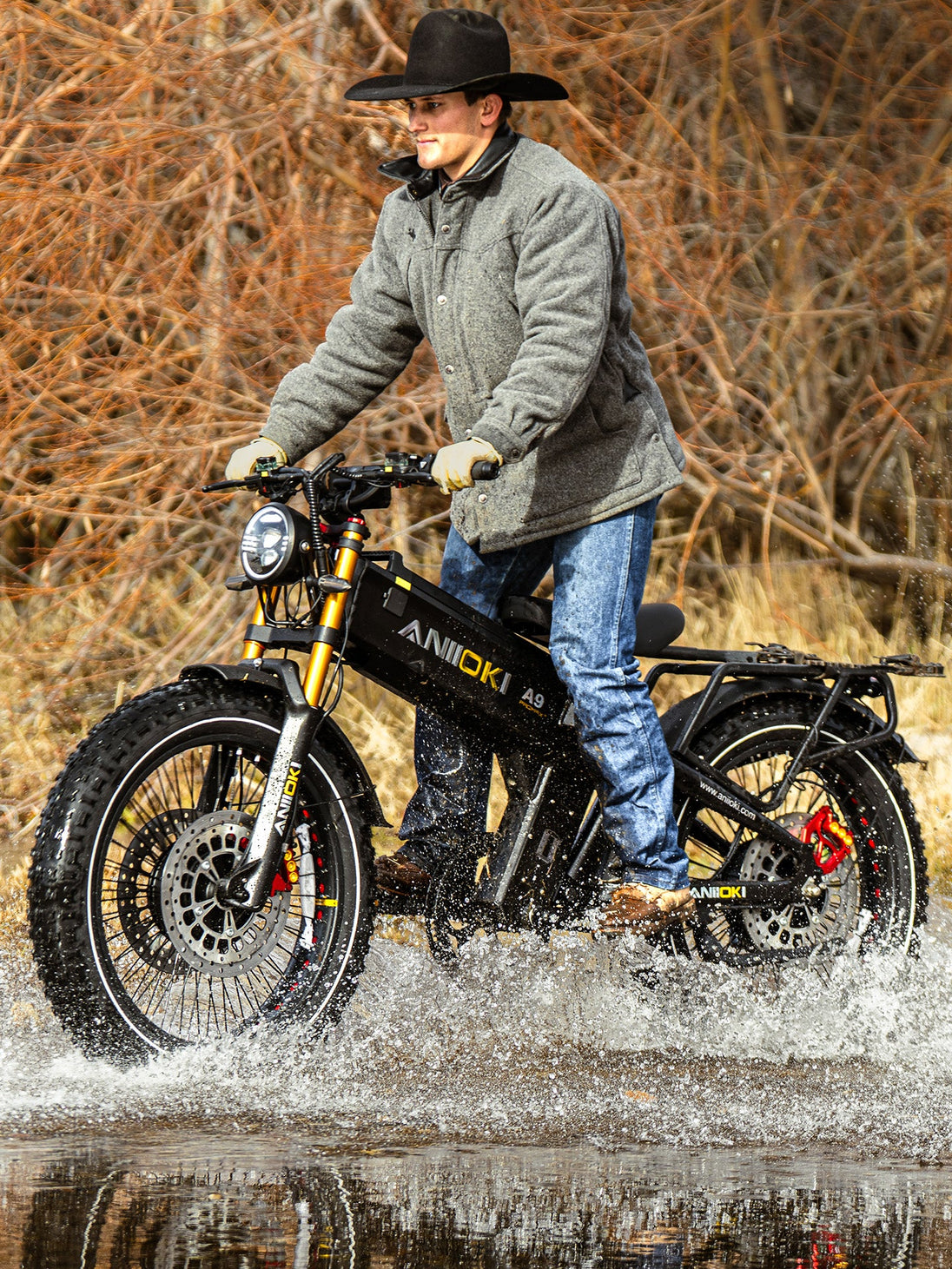 ANIIOKI A9 Pro Max Dual Motor eBike