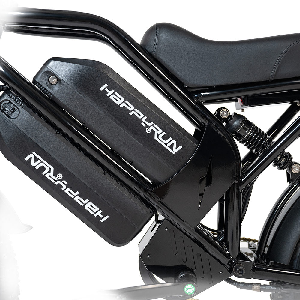 HappyRun G70 2000W Dual Battery Fast Electric Cargo Bike for Sale