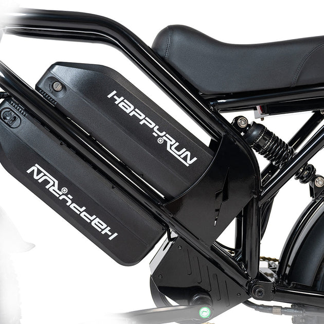 HappyRun G70 2000W Dual Battery Fast Electric Cargo Bike for Sale