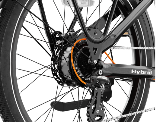 Hybrid - Image 8