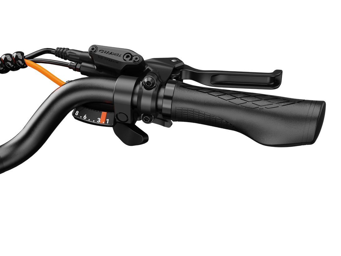 Hybrid - Image 3