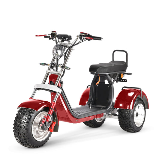 4000w-40Ah Swinging Trike Dual Drive All Terrain T7.4