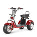 4000w-40Ah Swinging Trike Dual Drive All Terrain T7.4