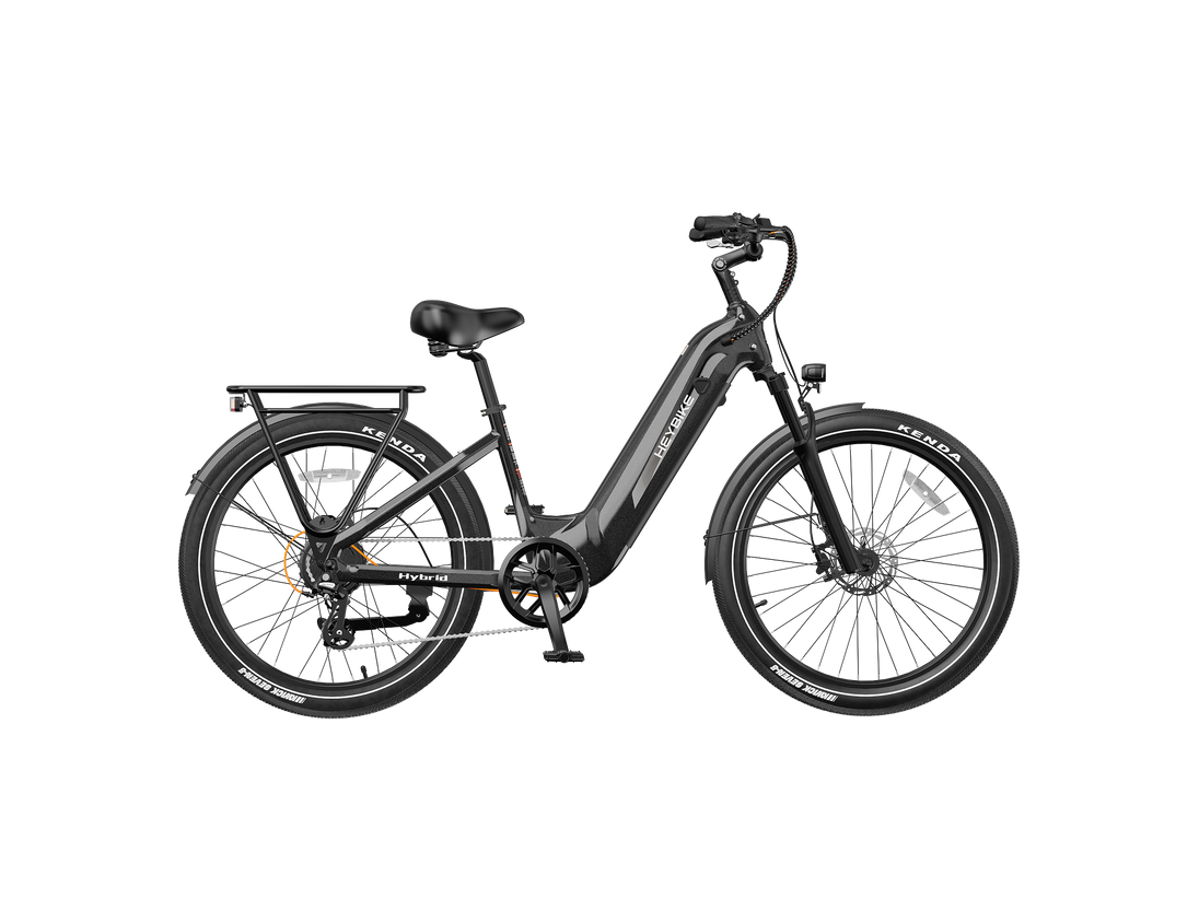 Hybrid - Image 1