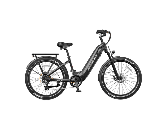 Hybrid - Image 1