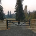 Chery Industrial 20 ft Farm Driveway Gate with Diagonal Tubes, Dual Swing