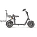 X7 Fat Tire Two Wheel Golf Scooter