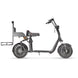 X7 Fat Tire Two Wheel Golf Scooter