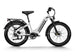 D5 ST(Zebra ST) / All-terrain Electric Fat Bike