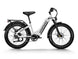 D5 ST(Zebra ST) / All-terrain Electric Fat Bike