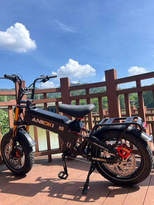 ANIIOKI  A8 Pro Max 52V Dual Motor eBike