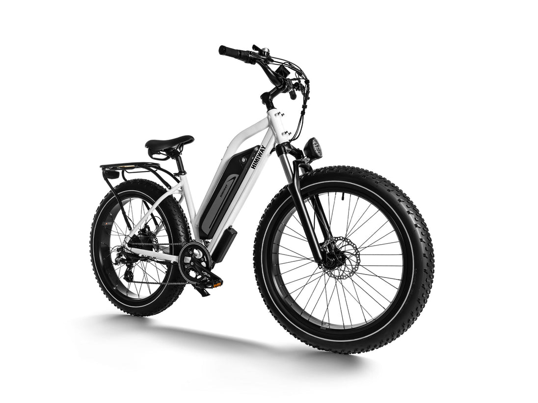 D3(Cruiser) / Long Range Fat Tire Electric Bike