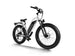 D3(Cruiser) / Long Range Fat Tire Electric Bike