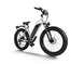 D3(Cruiser) / Long Range Fat Tire Electric Bike