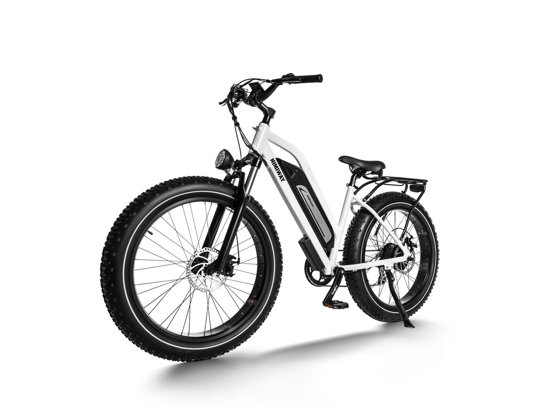 D3(Cruiser) / Long Range Fat Tire Electric Bike