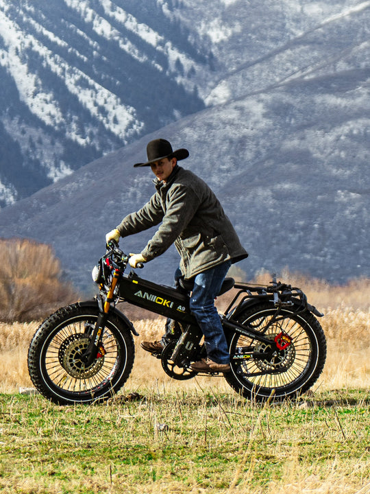 ANIIOKI A9 Pro Max Dual Motor eBike