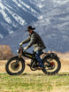ANIIOKI A9 Pro Max Dual Motor eBike