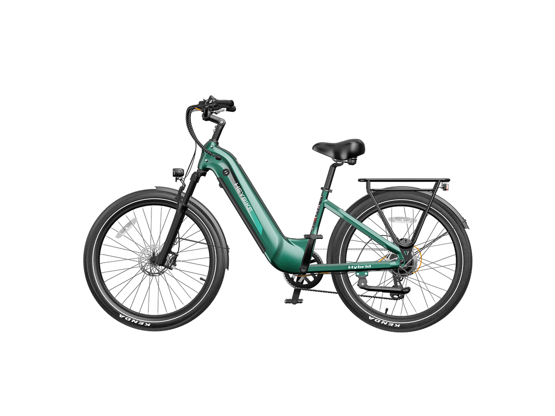 Hybrid - Image 20