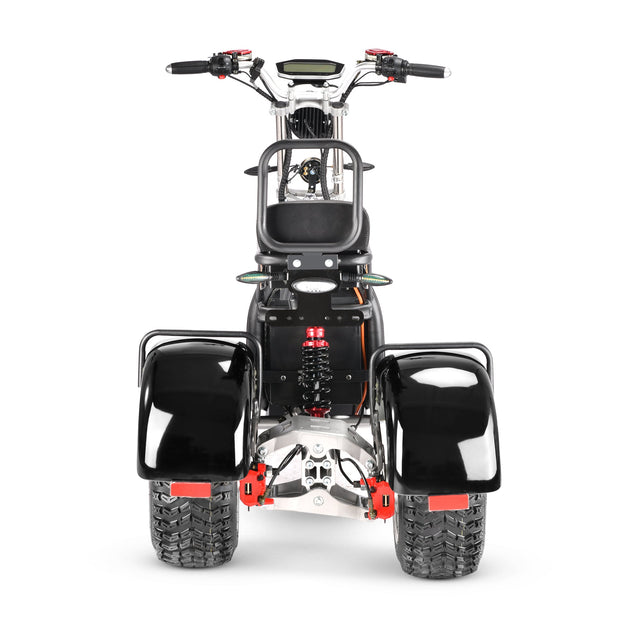 4000w-40Ah Swinging Trike Dual Drive All Terrain T7.4