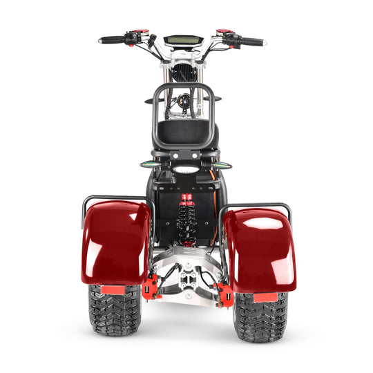 4000w-40Ah Swinging Trike Dual Drive All Terrain T7.4