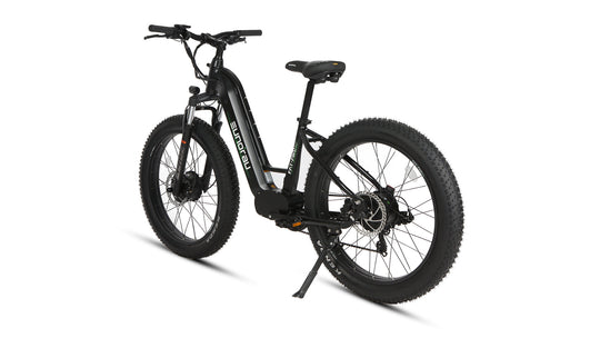 Eunorau | FAT-AWD 2.0 | FAT-AWD-SO17-HTC - Step Thru (Torque Sensor) Raven - image 12