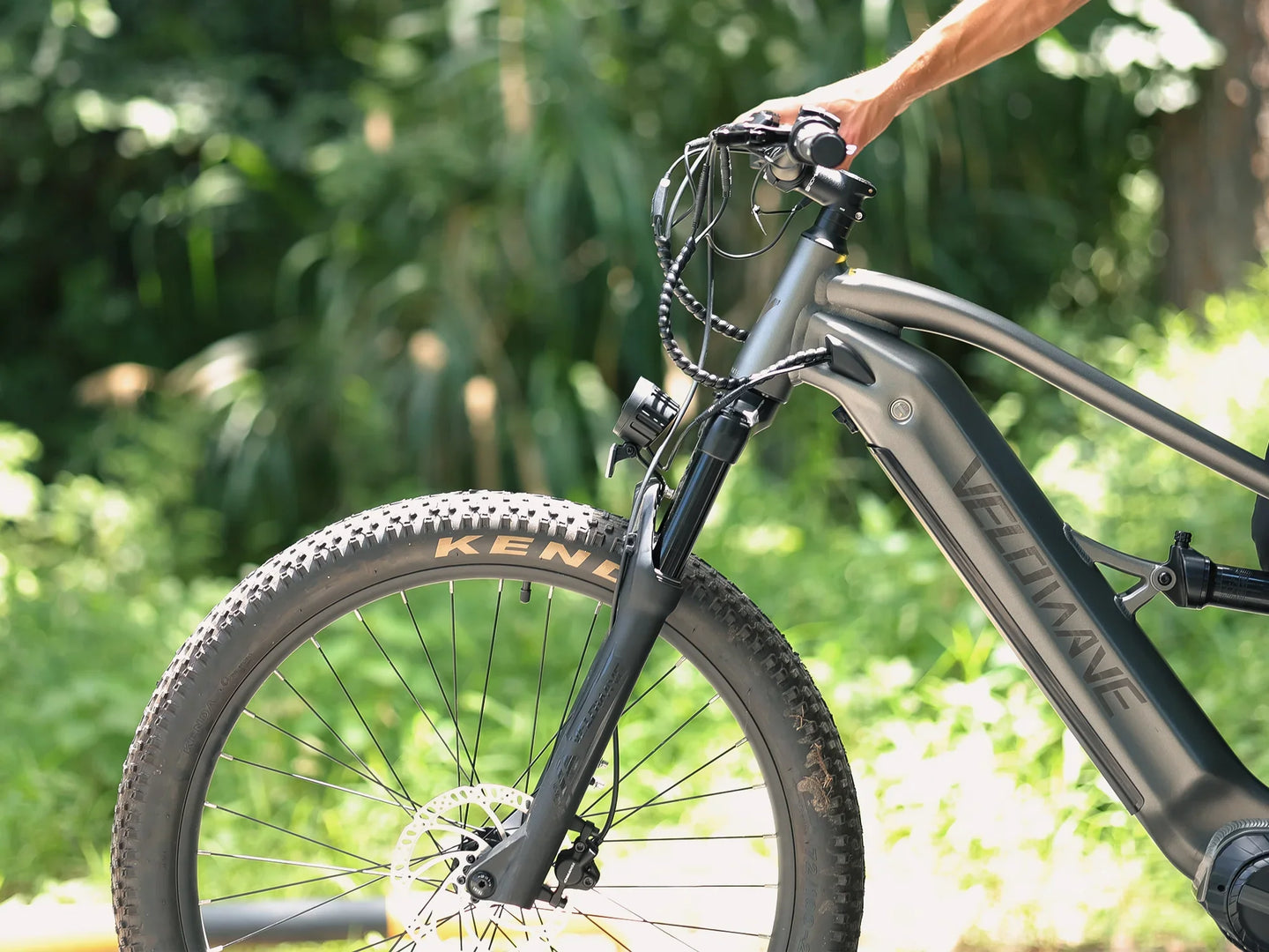 Velowave Forest SM - Image 6