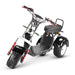 4000w-40Ah Swinging Trike Dual Drive All Terrain T7.4