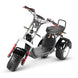 4000w-40Ah Swinging Trike Dual Drive All Terrain T7.4