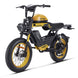 HappyRun G100 Pro 6000W Electric Bike Dual Battery