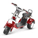 4000w-40Ah Swinging Trike Dual Drive All Terrain T7.4