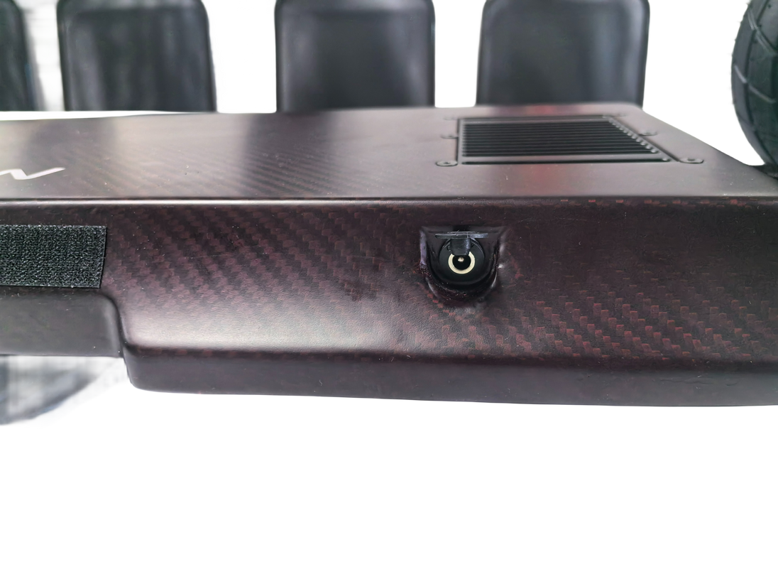 Wild Buffalo 5600W Electric Skateboard -- Passion Style for Professional