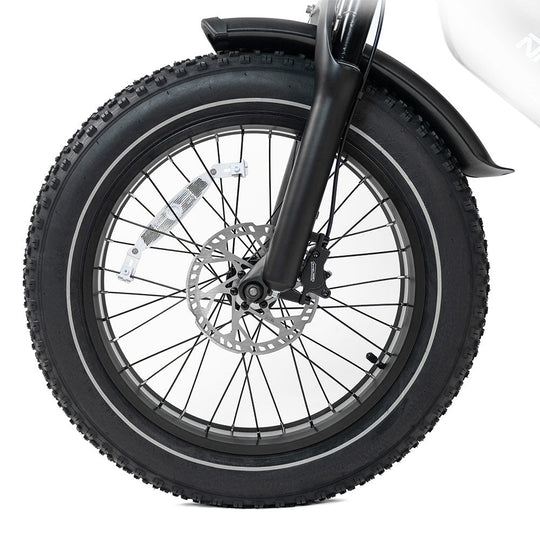 HappyRun G70 2000W Dual Battery Fast Electric Cargo Bike for Sale