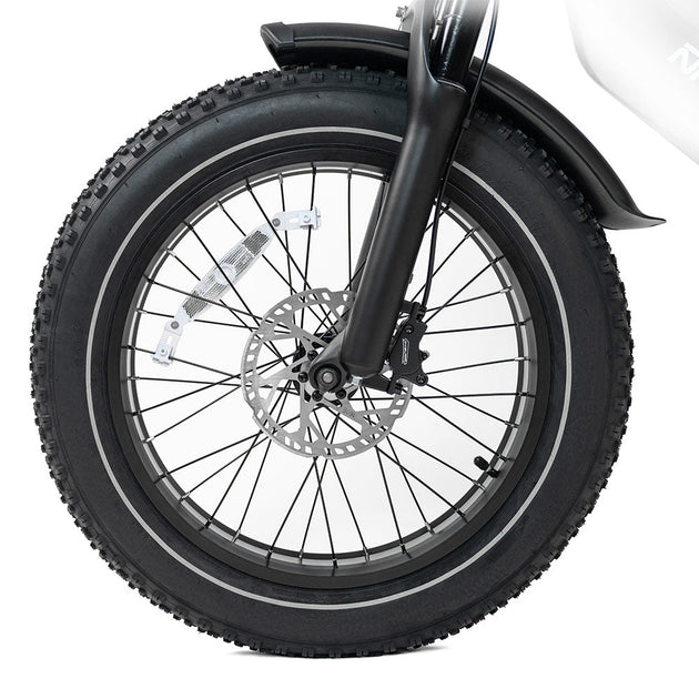 HappyRun G70 2000W Dual Battery Fast Electric Cargo Bike for Sale